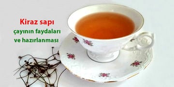 Kurutulmuş kiraz sapının faydaları nelerdir? Çayı nasıl hazırlanır?