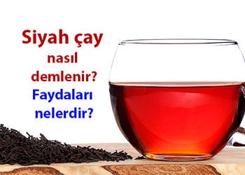 Çayın faydaları nelerdir? Yeşil ve siyah çay nasıl demlenir?