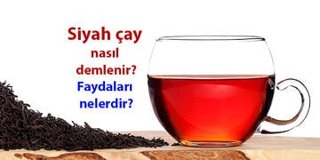Çayın faydaları nelerdir? Yeşil ve siyah çay nasıl demlenir?