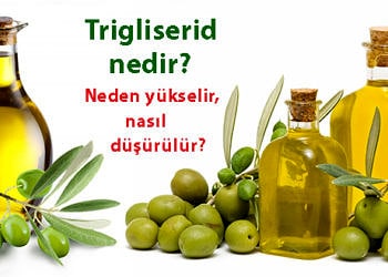 Trigliserid nedir? Neden yükselir? Vücut yağ oranı nasıl düşürülür?