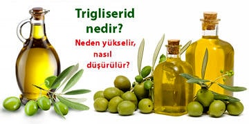 Trigliserid nedir? Neden yükselir? Vücut yağ oranı nasıl düşürülür?