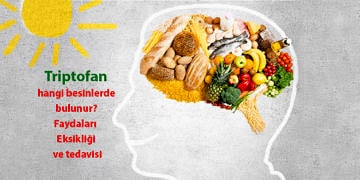 Triptofan nedir? Faydaları nelerdir? Eksikliği ve tedavisi