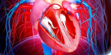 İnfektif endokardit tanı ve tedavisi