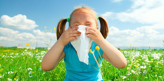 alerji nedir kimlerde gorulur belirtileri testi ve tedavi yontemleri