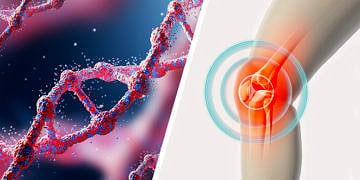 Eklem rahatsızlıklarına bitkisel kaynaklı yerli glukozamin desteği