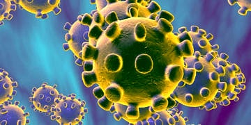 Koronavirüs neden hızlı yayıldı? Hangi önlemler işe yaradı?