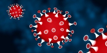 Koronavirüs (covid19) tespit edilen hastalara yaklaşım ve tedavi nasıl olmalı?