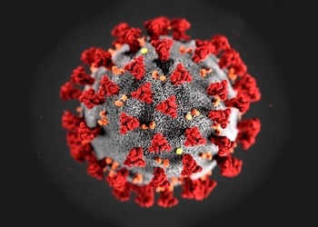 Covid-19: Koronavirüs testleri, tedavisi ve aşı çalışmaları