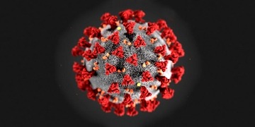 Covid-19: Koronavirüs testleri, tedavisi ve aşı çalışmaları