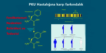 Her 100 kişiden 4’ünde görülen PKU hastalığına karşı farkındalık çok önemli