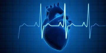 Hücre Programlama Yöntemi ile Kalp Hastalıkları Tedavisinde Önemli Gelişme