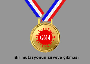 Koronavirüs: Bir mutasyonun zafere yürüyüşünün sırları