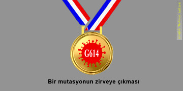 Koronavirüs: Bir mutasyonun zafere yürüyüşünün sırları