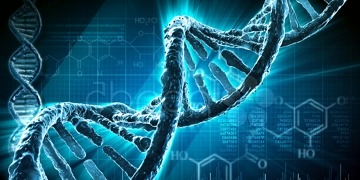 Yapay zekâ ile geliştirilen DNA anahtarları gen tedavisinde devrim yaratabilir