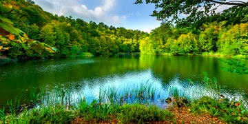 AstraZeneca, Umut Ormanı için beş farklı şehirde 80 bin fidan bağışladı