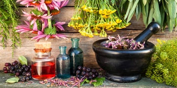 Fitoterapinin önemi ve bu alandaki bilimsel gelişmeler