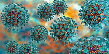 Soğuk algınlığına yol açan Rinovirüs, koronavirüsü vücuttan atabiliyor