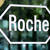Roche, tek örnekten birçok patojeni test edebilen yeni test için anlaştı