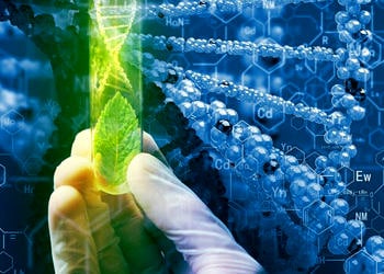 Tarımın Biyoteknoloji için Önemi ve Pandemi Sonrasında Biyoekonominin Geleceği