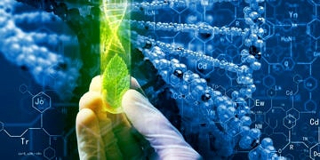 Tarımın Biyoteknoloji için Önemi ve Pandemi Sonrasında Biyoekonominin Geleceği