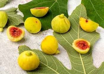 Taze ve kuru incirin faydaları nelerdir? İncir yaprağı ne işe yarar?