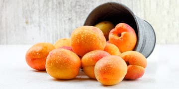 Kayısının faydaları nelerdir? Kuru kayısı neye iyi gelir?