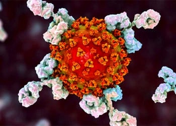 Monoklonal antikor tedavisi ağır Covid-19 hastalarının hayatını kurtarabilir mi?