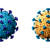 Covid-19 için yeni risk: Koronavirüsün iki ayrı varyantına yakalanan hasta öldü