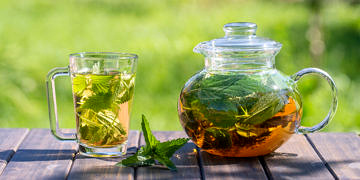 Isırgan otu çayı nasıl yapılır? Neye iyi gelir? Faydaları ve zararları