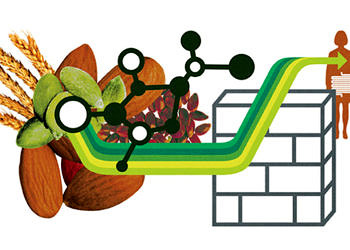 Anti besinler nedir? Ne işe yarar? Kullanımı, faydaları ve zararları?