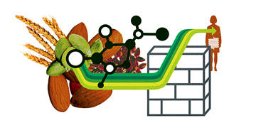 Anti besinler nedir? Ne işe yarar? Kullanımı, faydaları ve zararları?