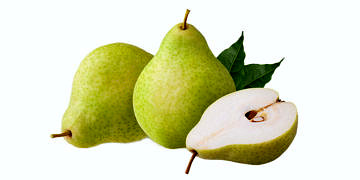 Armut, neye iyi gelir? Armudun faydaları ve zararları