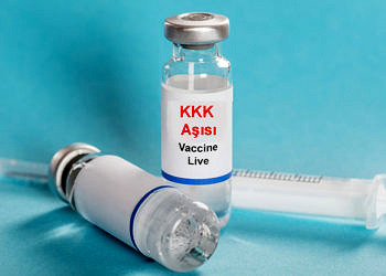 Kızamık aşısı ne zaman yapılmalı? Yan etkileri nelerdir?