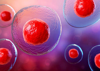 Tıp tarihinde bir ilk: Kök hücre tedavisi ile Tip 1 Diyabet’e şifa gerçek oldu