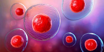 Tıp tarihinde bir ilk: Kök hücre tedavisi ile Tip 1 Diyabet’e şifa gerçek oldu