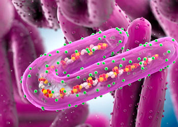 Marburg virüsü nedir? Nasıl bulaşır? Belirtileri ve tedavisi