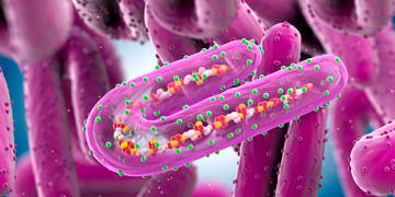 Marburg virüsü nedir? Nasıl bulaşır? Belirtileri ve tedavisi