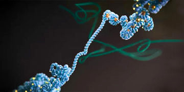 Epigenetik ile kanseri anlamak ve tedavi etmek için ‘yeni bir eşik aşıldı’