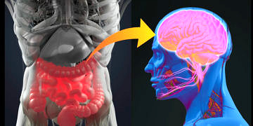 JAMA Psikiyatri: Probiyotik takviyeleri depresyon tedavisinin başarısını arttırıyor!