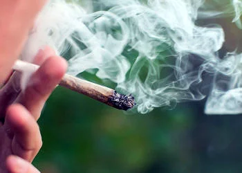 Bağımlılık tedavisinde yeni bir ilaç adayı: Esrar bağımlılığı tedavisinde etkili bulundu