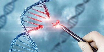 Yeni araştırma: miR-22 Gen terapisi karaciğer kanseri tedavisini değiştirebilir