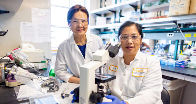 Prof. Dr. Yu-Jui Yvonne Wan ve Dr. Ying Hu