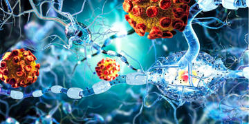 Multipl Skleroz, ve Otoimmün hastalıkların tedavisinde çok önemli gelişme: Ters Aşı