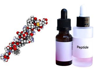 PT-141 Peptide: A Gateway to Novel Research Implications