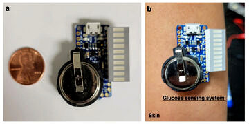 Terden Kan Şekeri Ölçen Sensör ile Parmak Delmeye Gerek Kalmayacak!