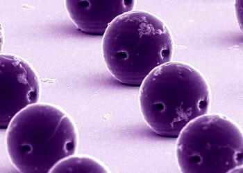 Klinik Testleri Süren Mikro Robotlar Kanser Tedavisine Yeni Bir Boyut Kazandırabilir