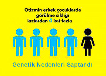 Otizmin Erkeklerde Dört Kat Daha Fazla Görülmesinin Genetik Nedenleri Saptandı