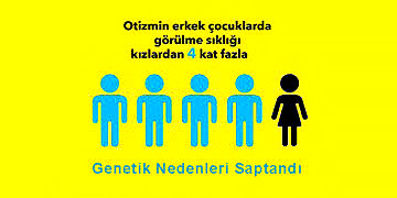 Otizmin Erkeklerde Dört Kat Daha Fazla Görülmesinin Genetik Nedenleri Saptandı