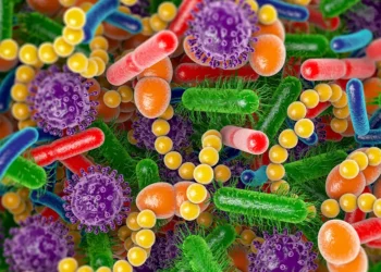 Yeni Araştırma: Bağırsak Mikrobiyotası, Kolesterol ve Obeziteyi Doğrudan Etkiliyor