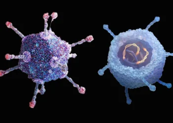 Genetiği Değiştirilmiş Onkolitik Virüs Tedavisi, Cilt Kanserine Karşı Başarılı Oldu